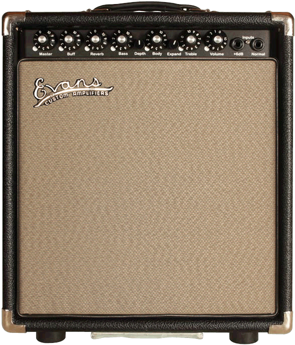 AE200 - Evans Custom Amplifiers